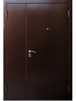 Витязь Дуэт двухстворчатая дверь металл / металл