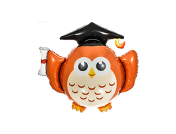 Фольгированный шар "Умная сова"
