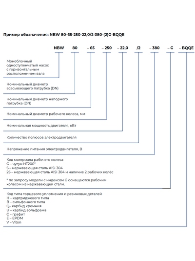 NBW 125-100-315-75.0/2-G