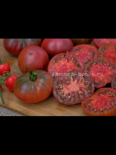 Томат Dwarf PPI (Гном ППИ), 10 шт