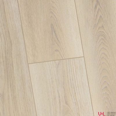 SPC ламинат FirstFloor Серый Дикий Лес 1F002 43 класс толщина 4.0 мм с фаской замковый 2.665 м2