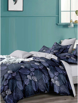 Постельное белье евро TANGO Dream Fly микросатин 200x220x1 220x245x1 50x70x2 DF03-411