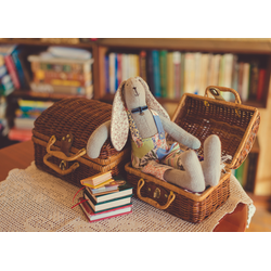 D0310 Заяц в сундуке