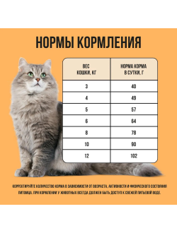 BOWL WOW (Боул Вау) корм сухой для кошек с чувствительным пищеварением Индейка, Курица, Тыква 400 г