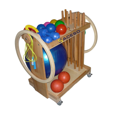 Тележка с гимнастическими снарядами, комплектация для взрослых и подростков «Я МОГУ!»