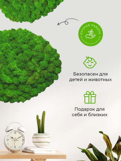 МИКС ЭКО-КАРТИН 1015