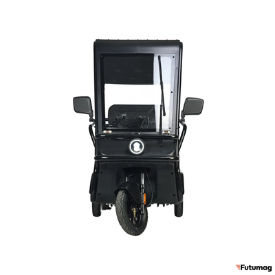 Электротрицикл Wanshida NIPLA 570 60V 1000Вт черный