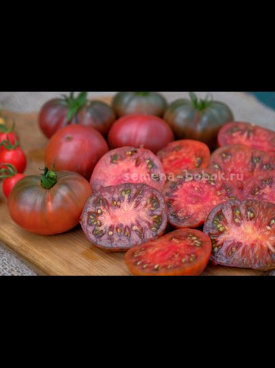 Томат Dwarf PPI (Гном ППИ), 10 шт