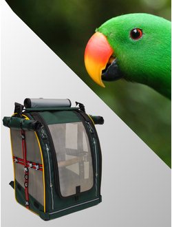 Рюкзаки и сумки для крупных и средних попугаев