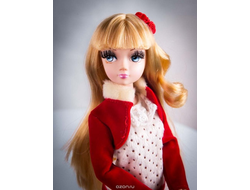 Daily Collection Кукла Sonya Rose, в красном болеро