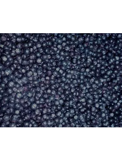 ЧЕРНИКА ШОКОВОЙ ЗАМОРОЗКИ. ФАСОВКА 1 кг