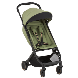 Коляска 3в1 Anex Air-X2 Vert 2025