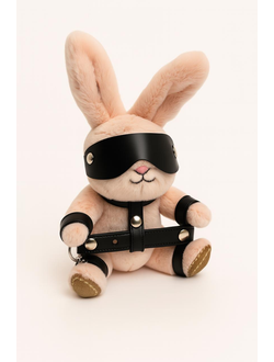 166 БДСМ зайчик slave black