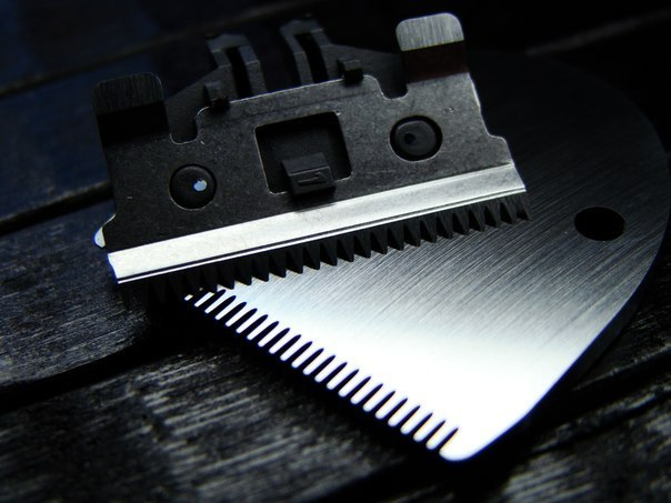 Заточка ножей для машинки для стрижки волос в новокузнецке