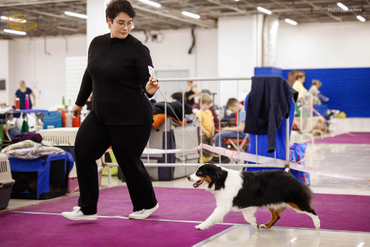 Вперед к победе!