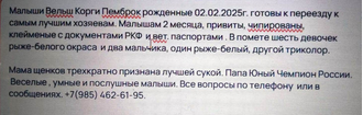 Щенки  породы ВЕЛЬШ КОРГИ ПЕМБРОК