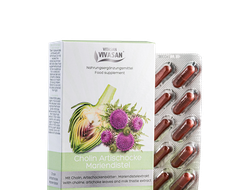 Капсулы Холин - Артишок - Расторопша Вивасан