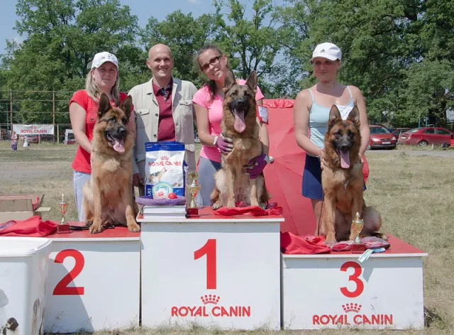 ВицеПобедительница, ЮСС моно в Липецке 7.06.2014 г. судья Козорез Д.