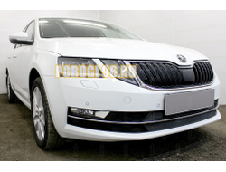 Защита радиатора Skoda Oktavia А7 2017- black