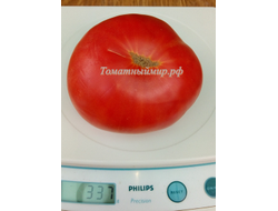 Томат Ливанские горы (Libanaise des Montagnes), США