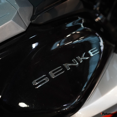 Электромотоцикл ECO SENKE SK10500D