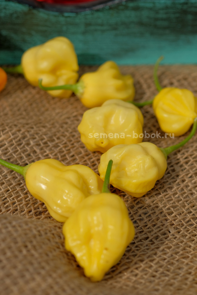 Перец острый Aji Fantasy, 10 шт