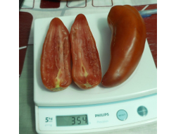 Томат Сибирский казак