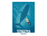 221 Териберка. Магическое море