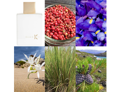 Ella K Parfums Musc K