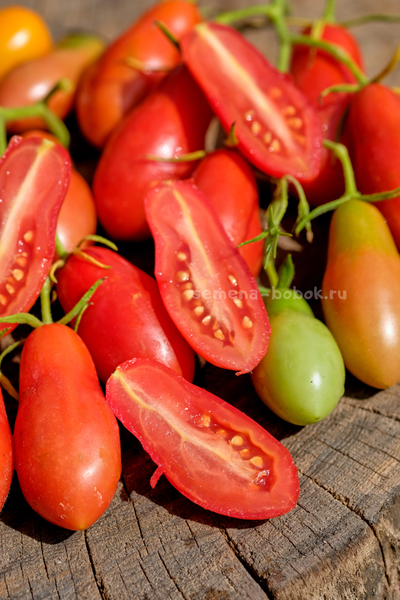 Томат Покоритель Неба (Himmelsturmer), 10 шт