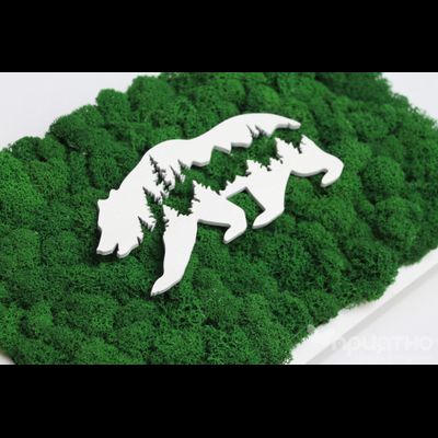 ЖИВАЯ ЭКО-КАРТИНА 1039