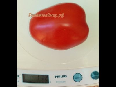 Томат Де Барао красный волгоградский (усл.)