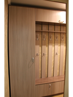 Прихожая ясень шиму