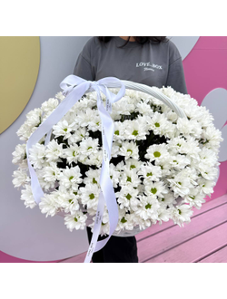 КОРЗИНА РОМАШКОВЫХ ХРИЗАНТЕМ