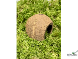 FF Cocos Cava 1/2 - Укрытие декоративное из кожуры кокоса (половинка)