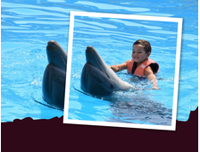 DELFINARIUM IN SHARM EL SHEIKH – SCHWIMMEN MIT DELFINEN (15 oder 30 MINUTEN)
