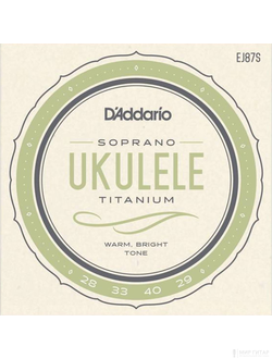 D`Addario EJ87S Titanium