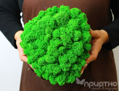 ЖИВАЯ ЭКО-КАРТИНА 1040