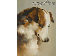 КАРЛ РАЙХЕРТ 4428