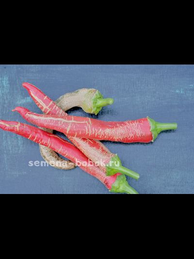 Перец острый Rezha Macedonian (Македонский), 10 шт