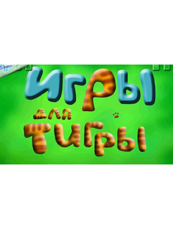 Компьютерная логопедическая программа “Игры для Тигры” (Лицензионная версия)