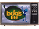 A bug`s life