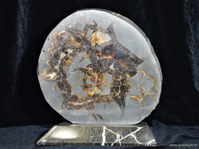 Септария - полированный спил на подставке из камня. 210*85*230мм