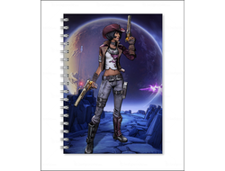 Тетрадь Borderlands, Бордерленд №4