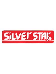 ❗-20%❗ Silver Star