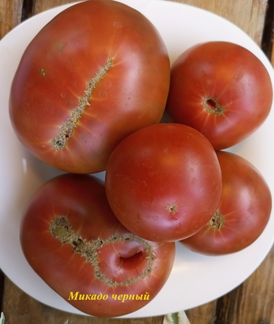 Томат Микадо черный