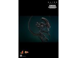 ПРЕДЗАКАЗ - Чужой (Ромул) - Коллекционная ФИГУРКА 1/6 Scorched Xenomorph Alien: Romulus (MMS784) - Hot toys ?ЦЕНА: 48600 РУБ.?