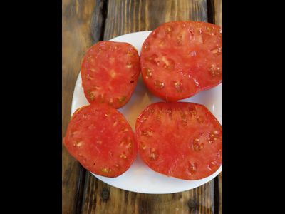 Томат Оранжево-красный Блюз (Orange red Blues)