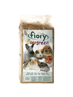 Fiory (Фиори) Evergreen сено, 1 кг