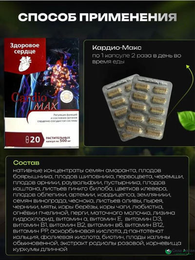 Комплекс при атеросклерозе Церебромакс и Кардиомакс, алтайские статины